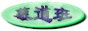 rcia.jpg (2129 bytes)